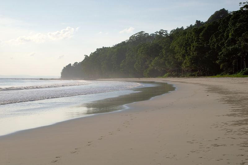 Quiet white-sand curve of Radhanagar Beach on Havelock Island, with waves on the left and dense green forest rising behind, Andaman Islands