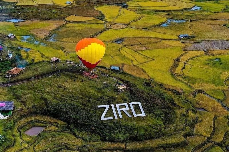 Aerial view of a hot-air balloon above golden paddy fields in Ziro Valley, Arunachal Pradesh