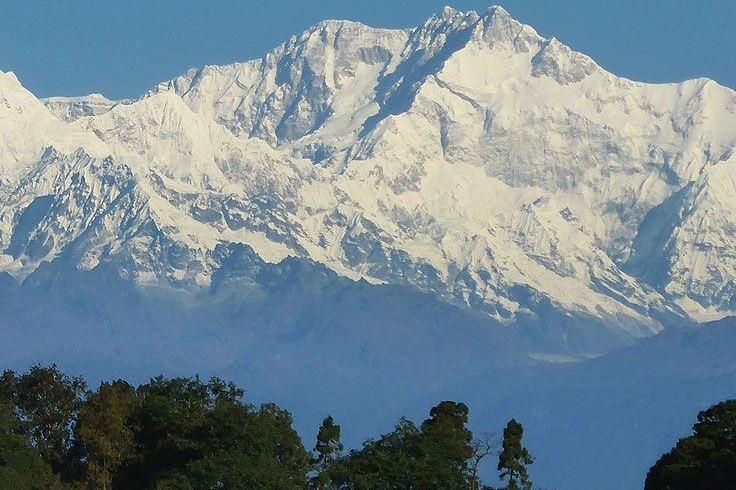 Snow-covered Himalayan peaks above forested hills, seen from Darjeeling